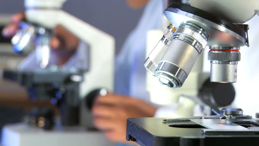 Going Under the Microscope: The Importance of Conducting Effective Workplace Investigations