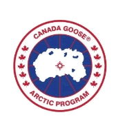 Canada Goose Arctic